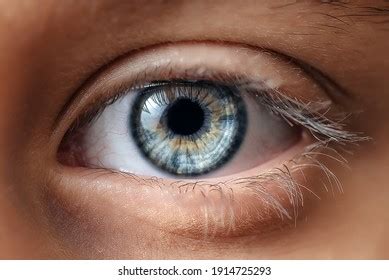 eye stock photo|40,000+ Free Eyes & Vision Images .